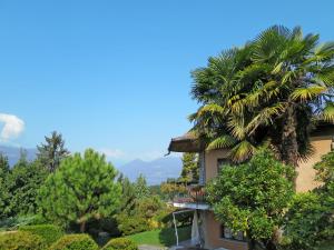 波爾托瓦爾特拉瓦利亞的住宿－Holiday Home Bramati by Interhome，前庭上有一棵棕榈树的房子