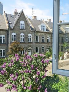 コペンハーゲンにあるApartmentInCopenhagen Apartment 1277の紫の花の窓