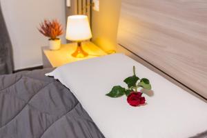 a red rose sitting on a bed with a lamp at HH Hermoso Housing ALESSANDRIA in Alessandria
