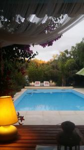 ein großer Pool mit einer Lampe daneben in der Unterkunft Casa Sestina - Logement indépendant dans belle propriété avec piscine in Canohès