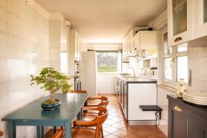 a kitchen with a table with a potted plant on it at Ypa Home Lago di Candia Canavese in Candia Canavese