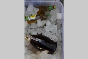 uma garrafa de vinho num frigorífico cheio de gelo em Balla Mama, Hajdúszoboszló em Hajdúszoboszló