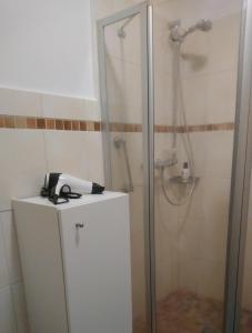 una doccia con telefono in cima a un frigorifero di GästeHaus „Barbara” mit Garage in 26919 Brake a Brake Altre 33 foto