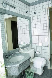 a bathroom with a sink and a toilet and a mirror at Grande Hotel Universo Palace in Uberlândia +10 photos