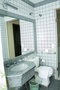 a bathroom with a sink and a toilet and a mirror at Grande Hotel Universo Palace in Uberlândia