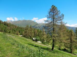 uma árvore num campo com montanhas ao fundo em Chalet Casot Pra Viei - SMY100 by Interhome em Sampeire