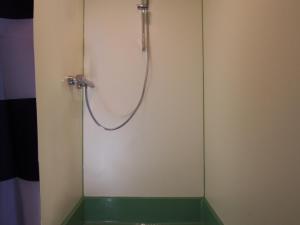 フローニンゲンにあるJantjeのバスルーム(ホース付きシャワー付)