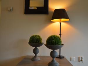 uma lâmpada sentada numa mesa ao lado de duas plantas em Holiday home in the Veluwe in nature em Putten