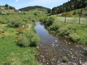 een rivier in het midden van een veld met bomen bij Holiday Home Les Confoulines by Interhome in Usclades