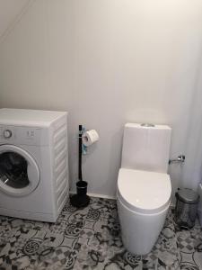 a bathroom with a toilet and a washing machine at Apartamentai Ramybė in Nida