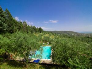 Vista sulla piscina di Villa Il Riccio by Interhome o su una piscina nei dintorni