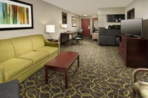 Posezení v ubytování Holiday Inn Express Hotel and Suites DFW-Grapevine by IHG