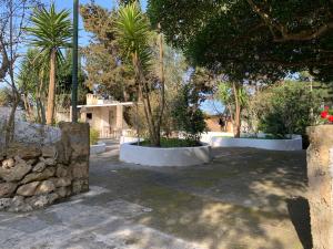 een binnenplaats met palmbomen en een stenen muur bij Eden camere in Torre dell'Orso