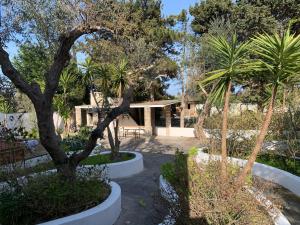 a garden with palm trees and a house at Eden camere in Torre dell'Orso