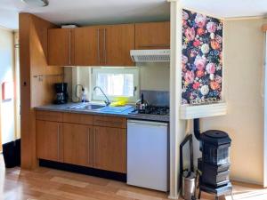 a kitchen with a sink and a stove top oven at Holiday Home Wiringherlant-2 by Interhome in Hippolytushoef