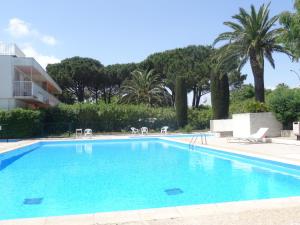 a swimming pool in a resort with palm trees at Apartment Les Patios-7 by Interhome in Saint-Tropez