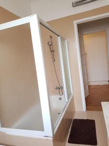 a shower with a glass door in a bathroom at Rose view guest house in Lisbon