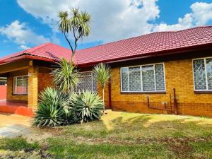 a brick house with a palm tree in front of it at Ithonsi Guesthouse and Spa in Kempton Park