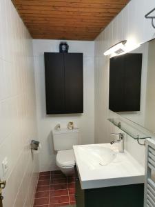 Bilik mandi di Ferienwohnung und B&B Chasa Janett