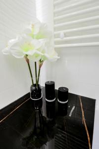 Zdjęcie z galerii obiektu Apartament Unia 12 Basen&SPA w mieście Lublin