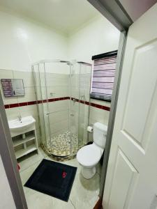 a bathroom with a shower and a toilet and a sink at Ithonsi Guesthouse and Spa in Kempton Park