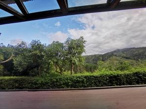 a view out of a window of a garden at Cabaña Hamacas in Cartago