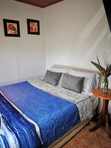 Un dormitorio con una cama con sábanas azules y una mesa. en Cabaña Hamacas, en Cartago