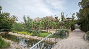 a bridge over a pond in a park at Piso de diseño junto al centro de Murcia con parking in Murcia
