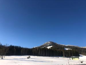 Obiekt Appartement Schwab Ski in & Out zimą