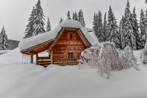 Fotografie z fotogalerie ubytování Lodge Nadgora v destinaci Žabljak