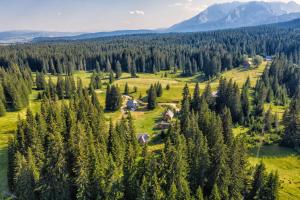 Fotografie z fotogalerie ubytování Lodge Nadgora v destinaci Žabljak