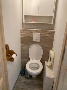 ein kleines Badezimmer mit Toilette und Waschbecken in der Unterkunft Appartement Villard de Lans in Villard-de-Lans