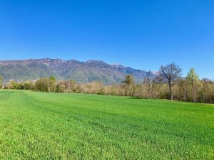 ein großes grünes Feld mit Bergen im Hintergrund in der Unterkunft Flyingaway in Borso del Grappa