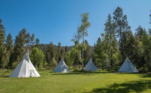 grupa namiotów na polu z drzewami w obiekcie Lonesome Dove Ranch w mieście Kalispell