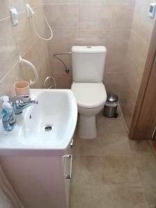 a bathroom with a white toilet and a sink at Ubytovňa Ivona in Hroboňovo +5 photos