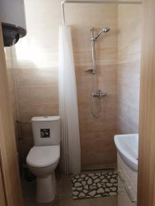 a bathroom with a toilet and a shower and a sink at Ubytovňa Ivona in Hroboňovo