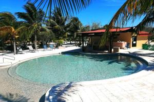 uma grande piscina num resort com palmeiras em Magnifica y comoda Villa 85 a 100 mts del Mar em Celestún