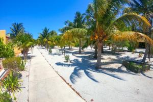 uma praia de areia com palmeiras e um passeio em Magnifica y comoda Villa 85 a 100 mts del Mar em Celestún