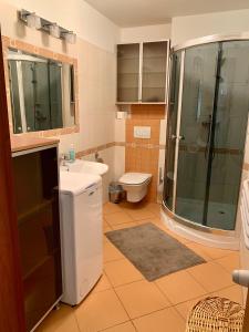 y baño con lavabo, ducha y aseo. en Apartament Fabian, en Władysławowo