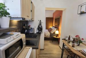 Kuchyň nebo kuchyňský kout v ubytování Studio Apartman Lipik