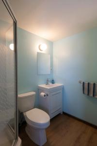uma casa de banho com um WC, um lavatório e um espelho. em Dreamcatcher Hostel em Golden