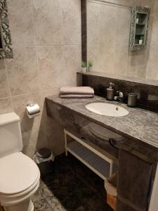 a bathroom with a sink and a toilet at Apartamento Can Jasana in Sant Jordi de Cercs