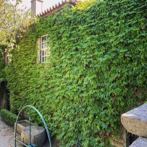a garden with plants growing out of it at Casa dos Barros Winery Lodge by Vintage Theory in Sabrosa