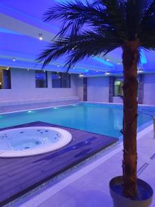 科帕奥尼克SUNCANI BREG - STUDIO 11的游泳池旁的棕榈树