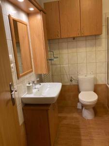 Koupelna v ubytování Apartment in Keszthely/Balaton 35892