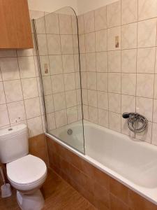 Kúpeľňa v ubytovaní Apartment in Keszthely/Balaton 35892