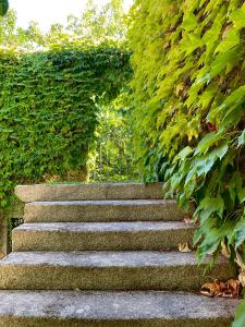 a row of stairs leading down to a garden at Casa dos Barros Winery Lodge by Vintage Theory in Sabrosa