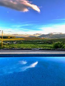 a blue swimming pool with a view of a vineyard at Casa dos Barros Winery Lodge by Vintage Theory in Sabrosa