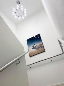 a picture of a deer on a shelf in a room at Colombo Lodge Hotel in Christchurch