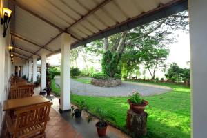 Taman di luar Parisons Plantation Experiences by Abad